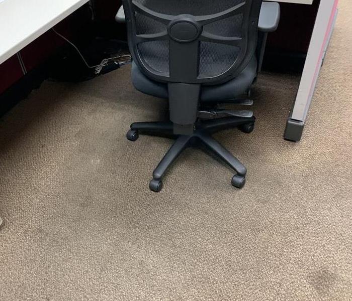 black office chair on top of dirty carpet.