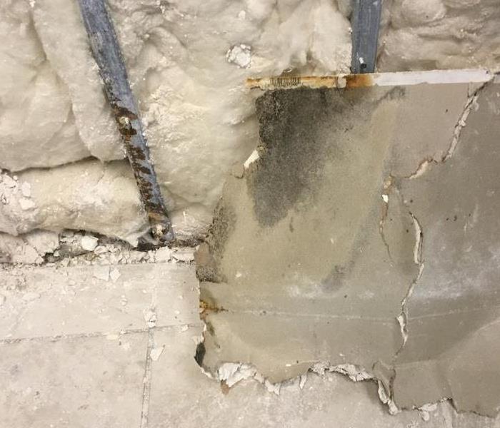 Spots of mold on the back of a piece of drywall. 