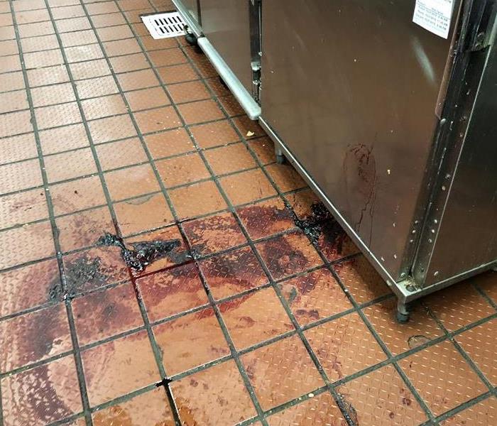 blood spread along a tile floor. 