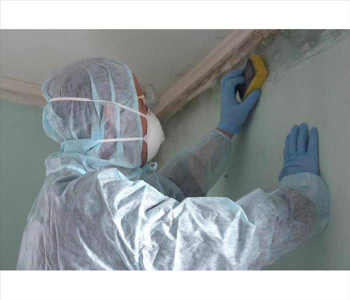 A Man Cleaning Mold From Wall Using Spray Bottle And Sponge