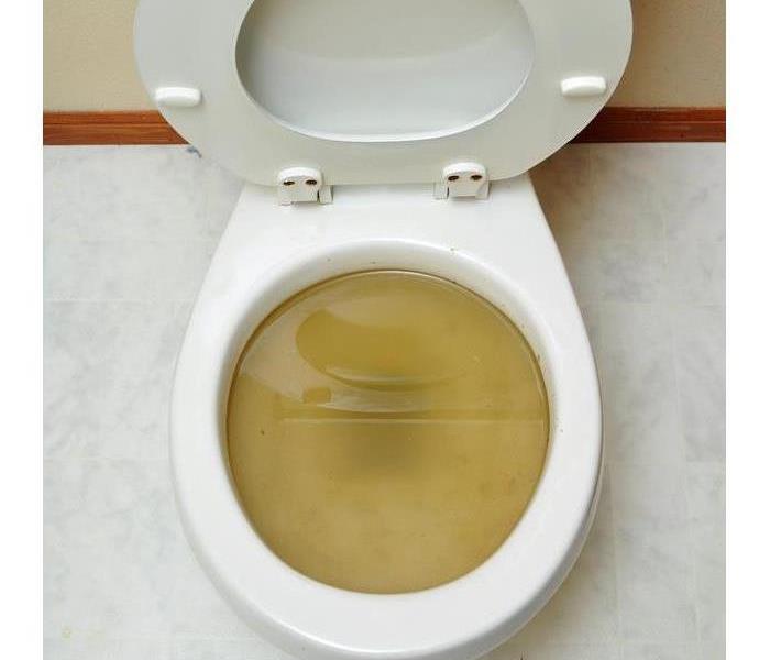 Toilet full of sewage. 