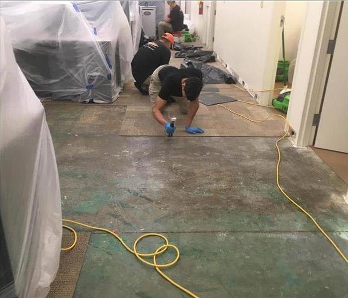 workers removing carpet from floor after water damage in an office building