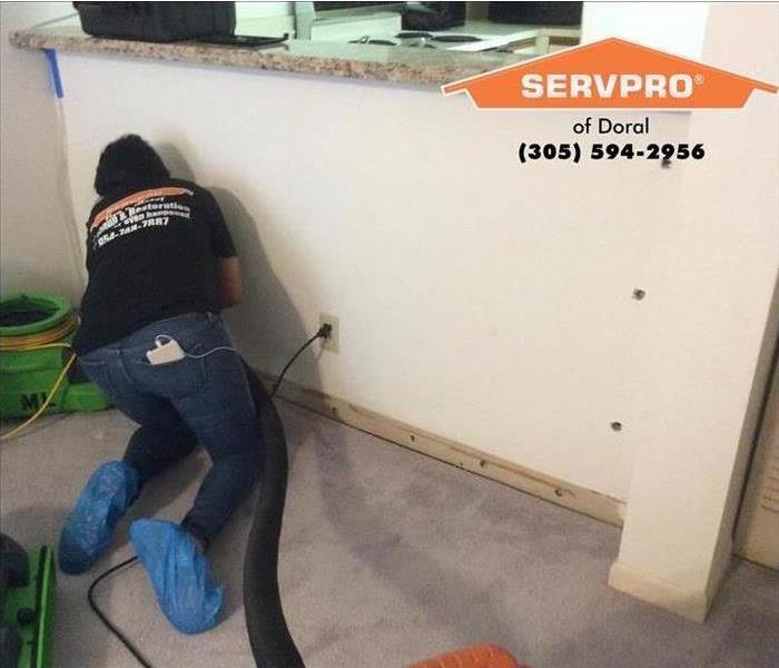 Worker on her knees cleaning a wall with mold growth