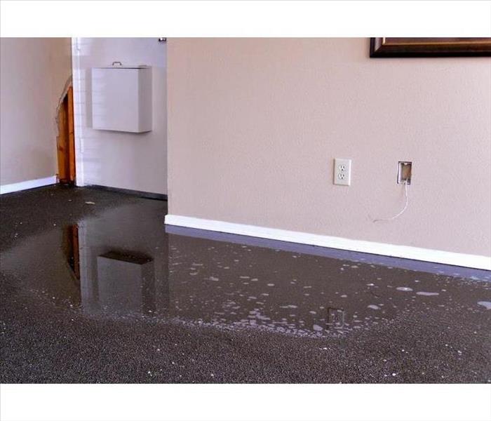 Standing water on carpet